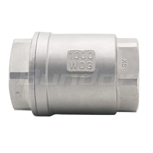 Stainless Steel Lift Check Valve1