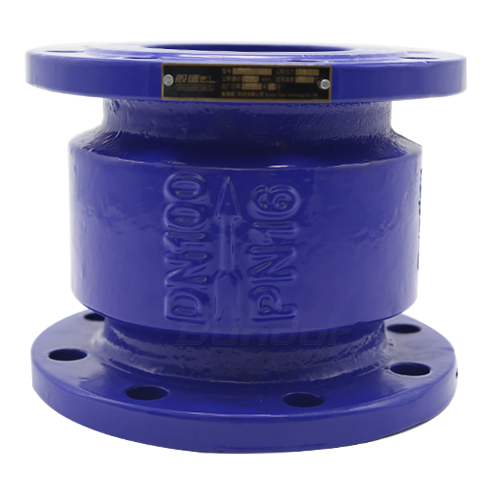 Silent Check Valve1