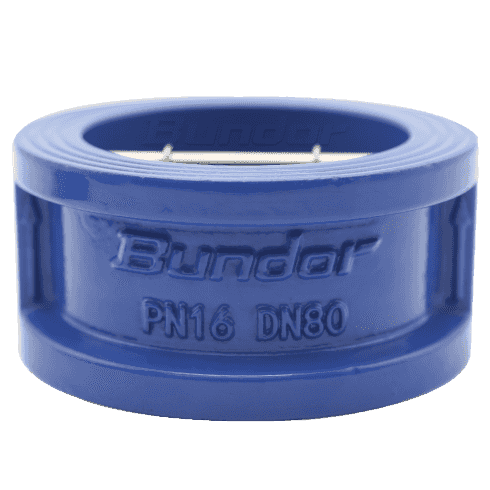 Dual Disc Check Valve2