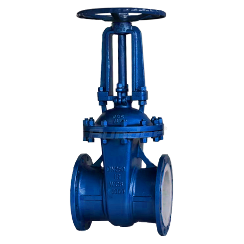 PTFE Lined Gate Valve3