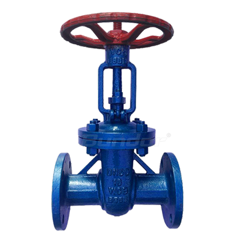 PTFE Lined Gate Valve1