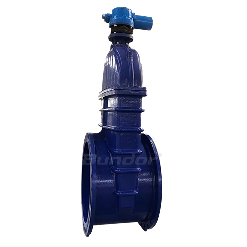 Electric soft seal gate valve4